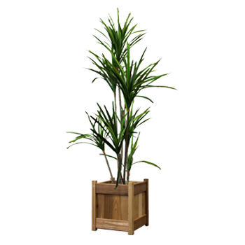 Handcrafted Cedar Products